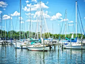 Sunset Cove at Maryland Marina