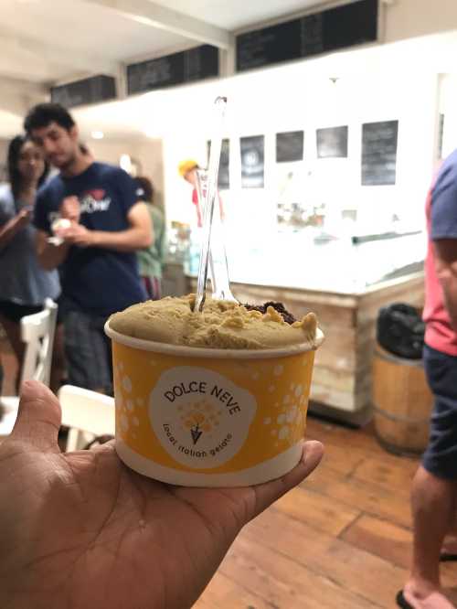 Dolce Neve Gelato