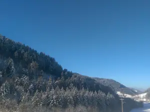 Landgasthaus Gruener Baum