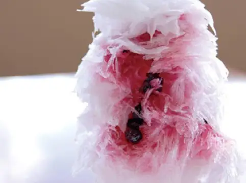 Kashiwa Cafe & Dining Bar