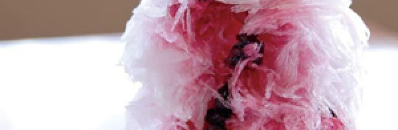 Kashiwa Cafe & Dining Bar