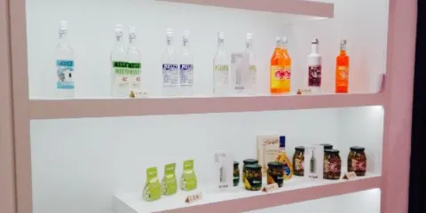 Olivo - L'Oliva all'Ascolana