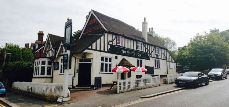 The White Lion
