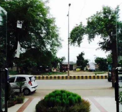 Speise Restaurant Taste The Best