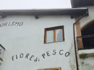 Fiore di Pesco