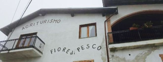 Fiore di Pesco
