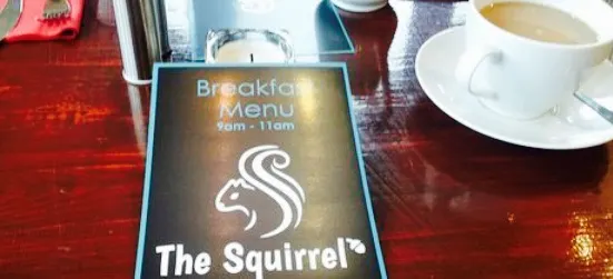 The Squirrel Pub