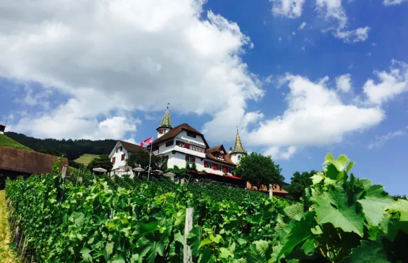 Romantik Restaurant Schloss Weinstein