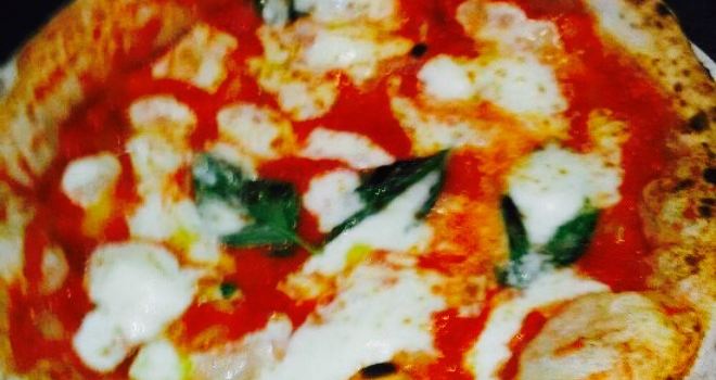 Fior di Pizza