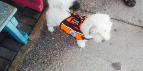 Royal House of Roast Beef