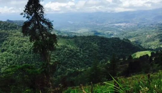 Restaurante Mirador Valle del General