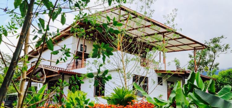 Restaurant Mindo Coffee Lodge