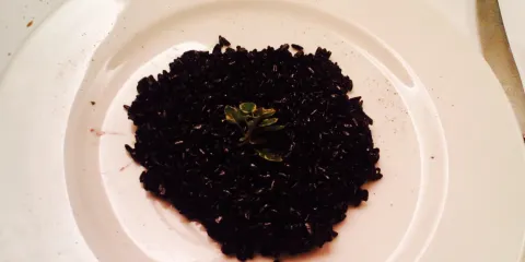 La Montanara Albergo Ristorante