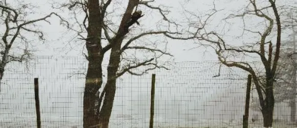 La Terrasse du Beaujolais