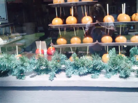 Rocky Mountain Chocolate Factory