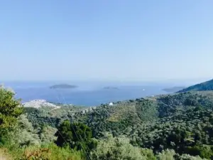 Panorama Pizza Restaurant
