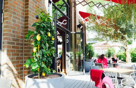 L'Osteria Monchengladbach