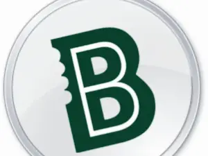 Bing Bite LLC