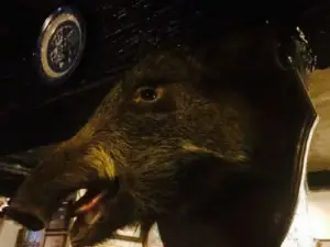 The Boar's Head