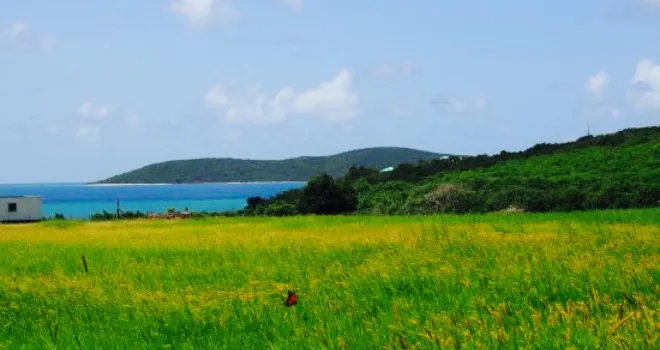 Castaways of St. Croix