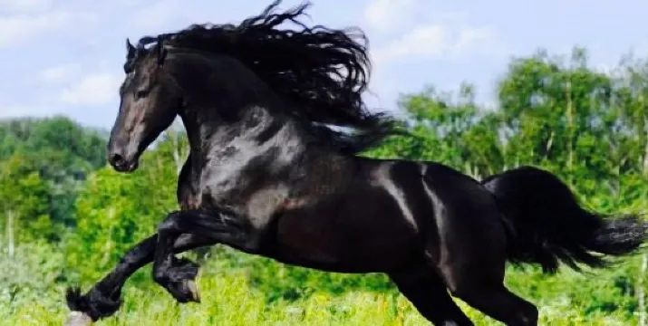 Augie's Family Style Italian