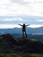 Lone Tree Hill Regional Park