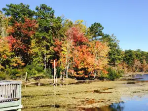 Newport News Park