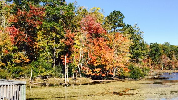 ニューポート・ニューズ・パーク