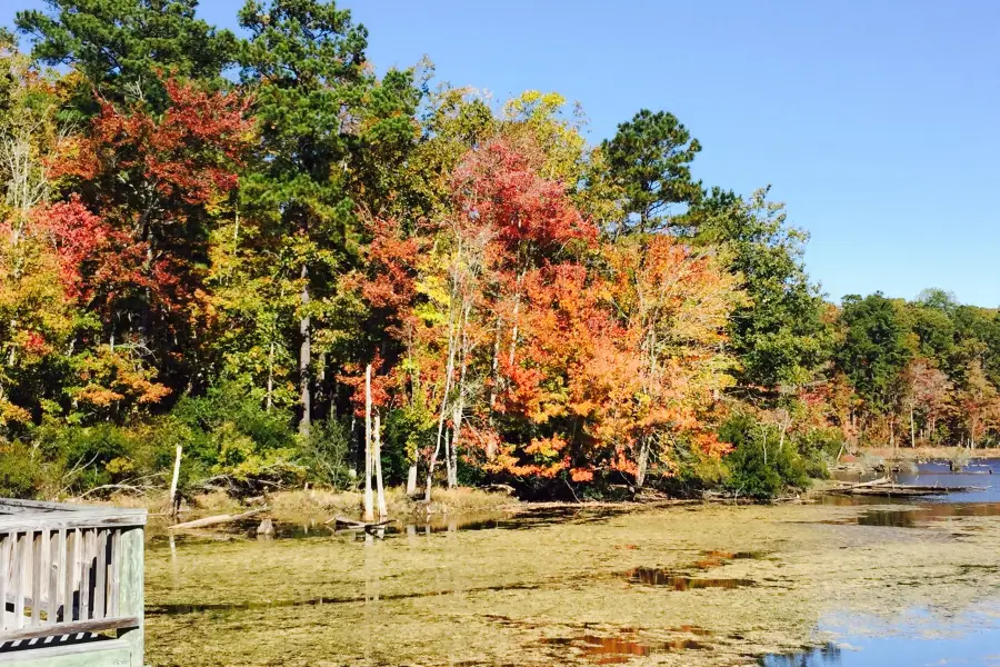 Newport News Park