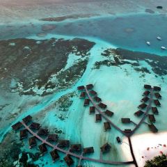 Coral Bar & Lounge User Photo