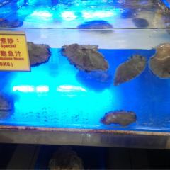 Kam Ling Seafood Restaurant Sdn Bhd 여행 사진