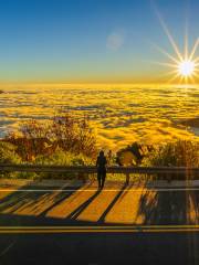 Alishan National Scenic Area