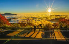 阿里山國家風景區