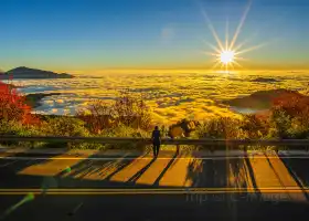 Alishan National Scenic Area