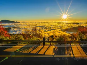 Alishan National Scenic Area