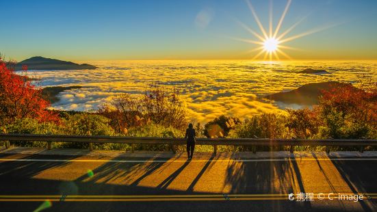 Alishan National Scenic Area