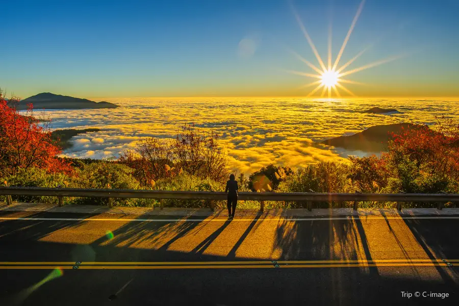 Alishan National Scenic Area