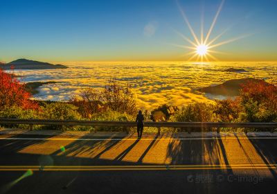 阿里山國家風景區