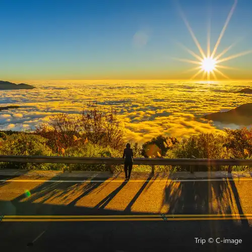 嘉義縣附近的熱門人氣景點