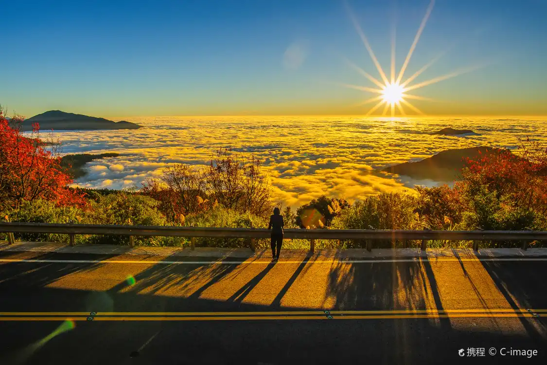 Hotels near Alishan National Scenic Area
