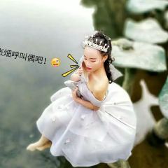 皇都天然居农家菜 User Photo