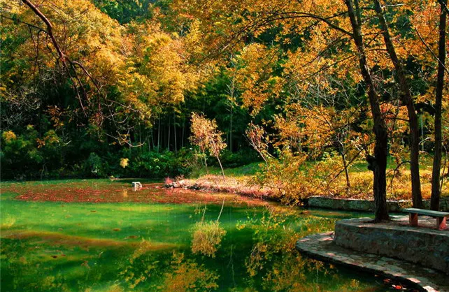 Fall Viewing Attractions