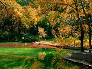 Langya Mountain Scenic Area