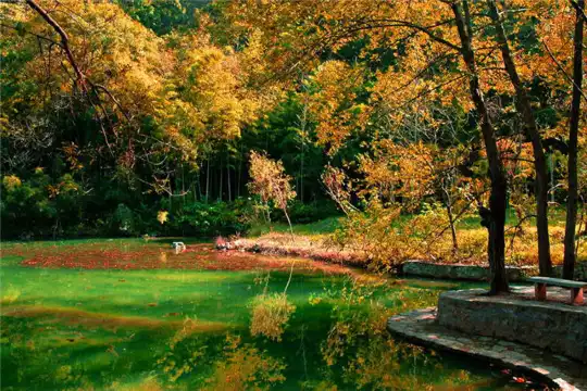 낭야산 관광지 주변 호텔