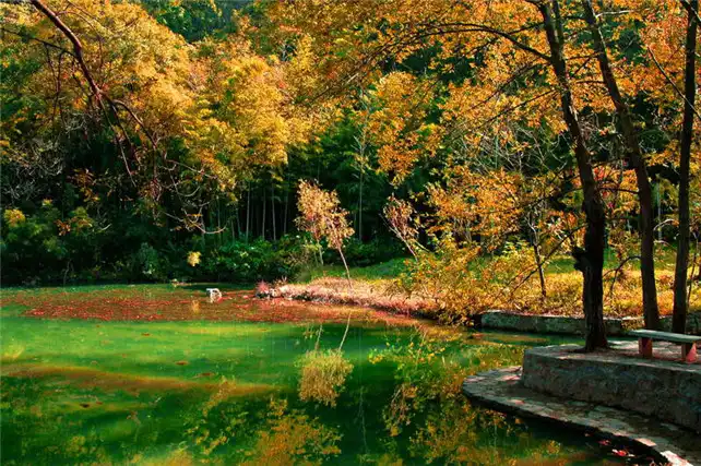 Hotels near Langya Mountain Scenic Area