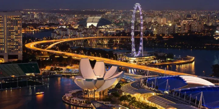 新加坡摩天觀景輪