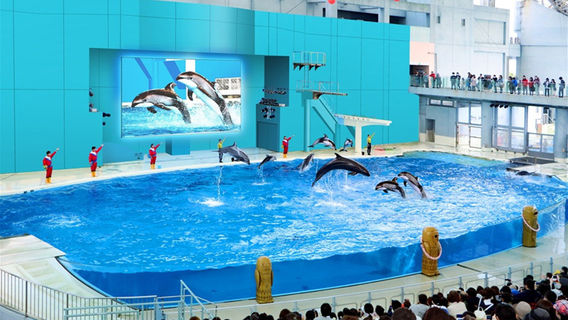 Yokohama Hakkeijima Sea Paradise