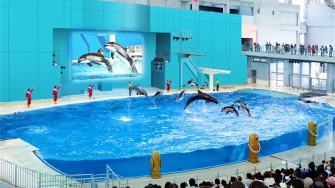 1_八景島海島樂園