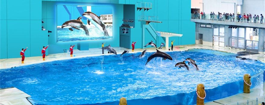 Yokohama Hakkeijima Sea Paradise