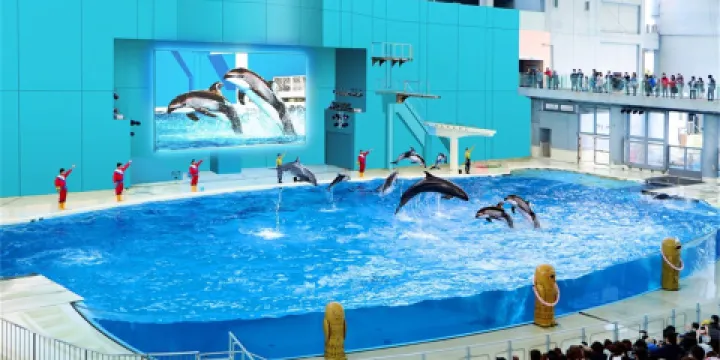 橫濱八景島海島樂園